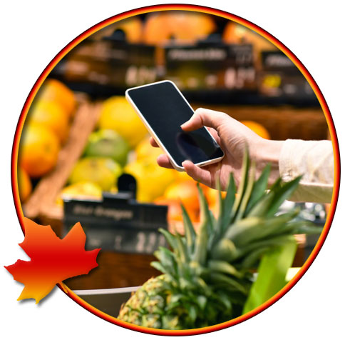 Canadian Grocery Shoppers Hungry for Omni-Channel Savings and Convenience (Statistics)