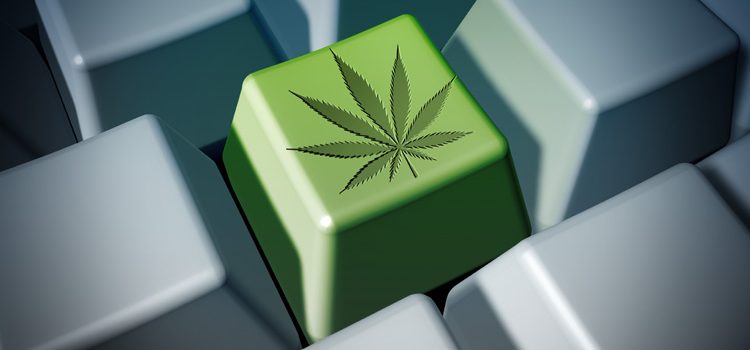 Canadian Cannabis Sales Moving From Offline Retail to eCommerce