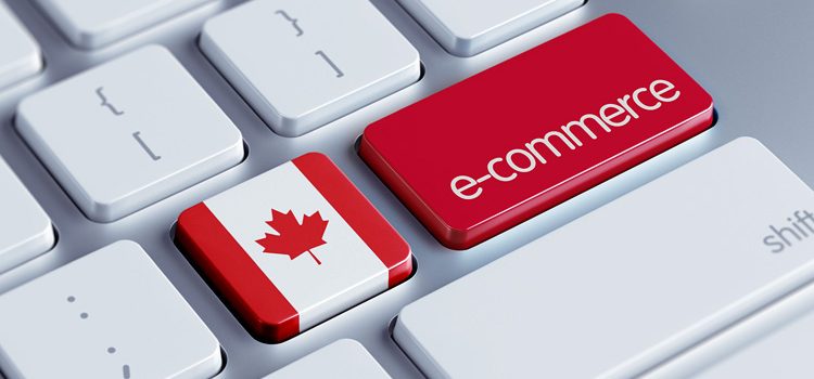 Canadian Businesses Brought in $305 Billion Online Last Year