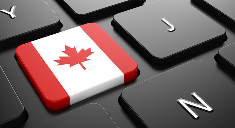 The Pandemic Behaviour of Online Canadians (Infographic)